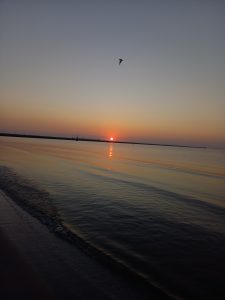 rasarit