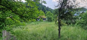 Casa, vegetatie