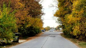 peisaj de toamnă