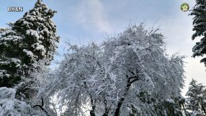 iarna, zapada