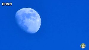luna