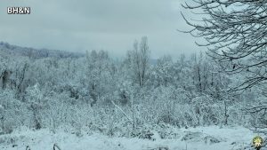iarna, zapada