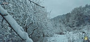 zapada, iarna
