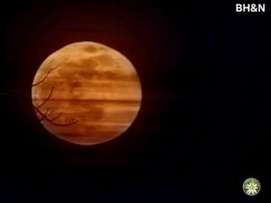 luna plina