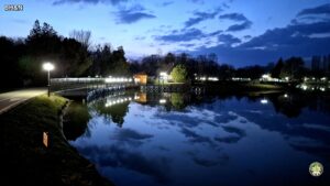 parc, lac