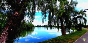 parc, lac