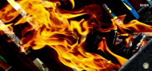 foc