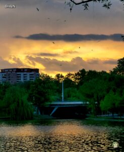 apus, parc, lac