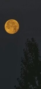 luna plina