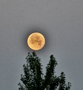 luna plina