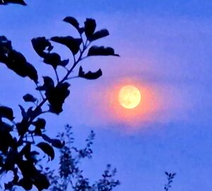 luna plina