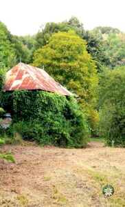 casa vegetatie