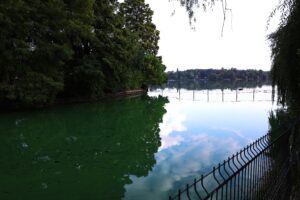 lac