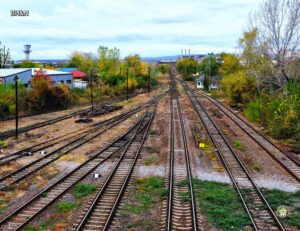 lnii tren