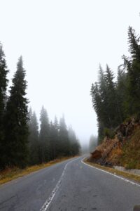 transalpina