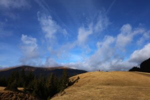 transalpina