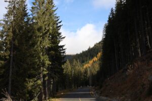 padure, transalpina