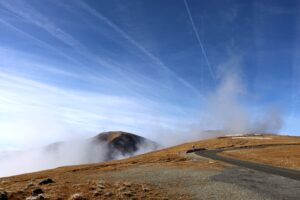 transalpina, nori