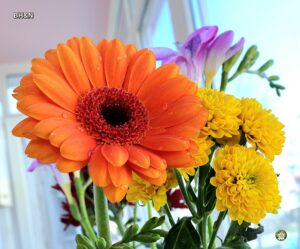 floare