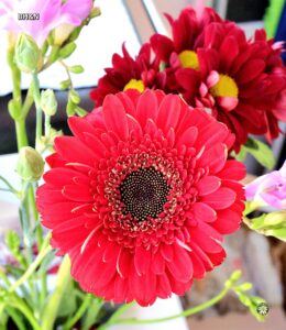 floare