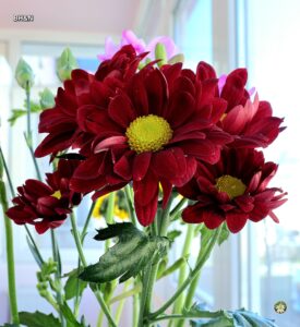 floare