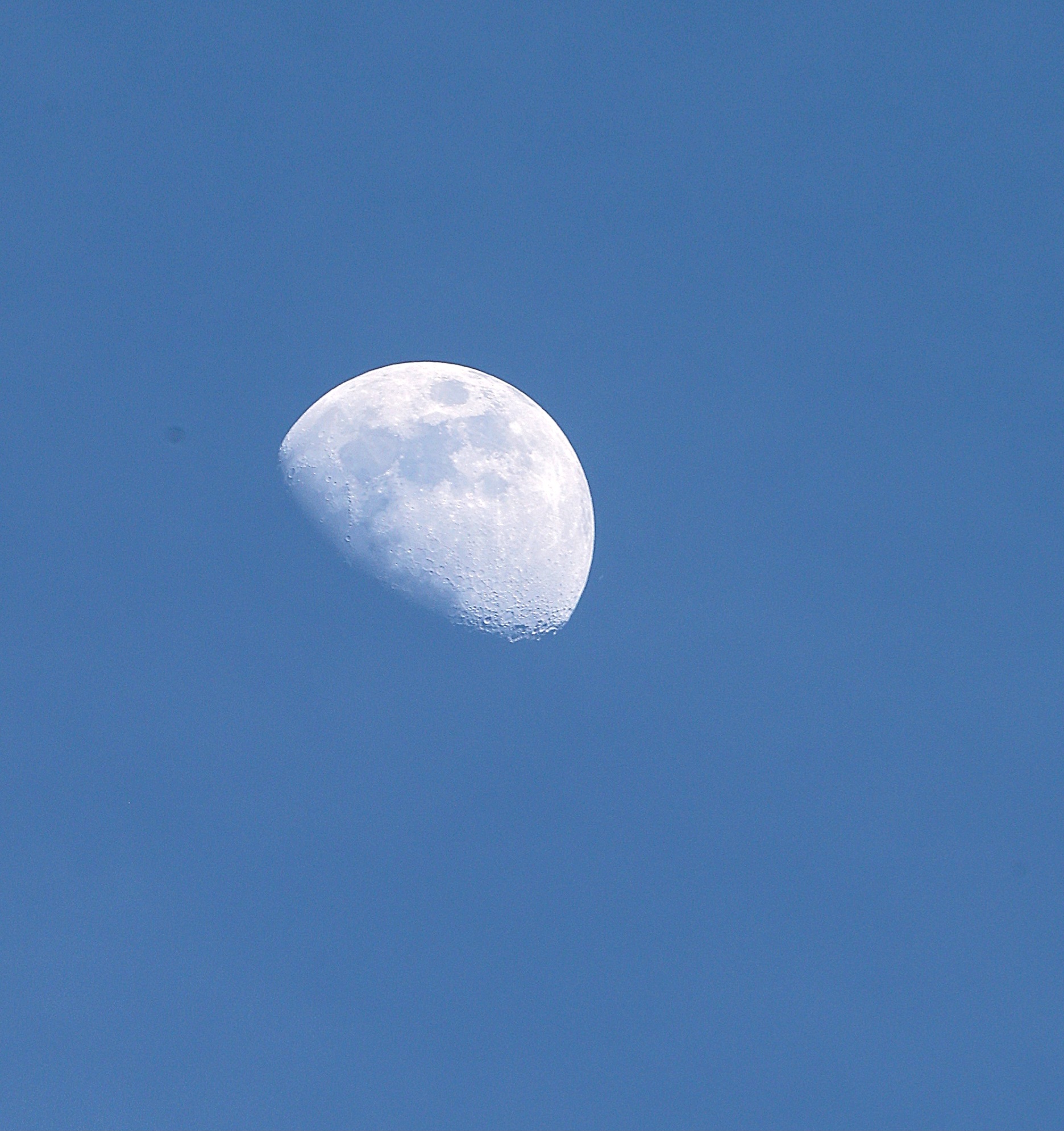 luna