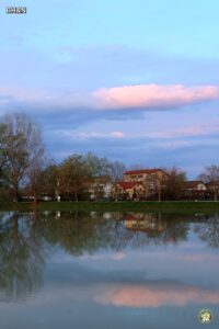 reflexii