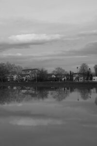 reflexii