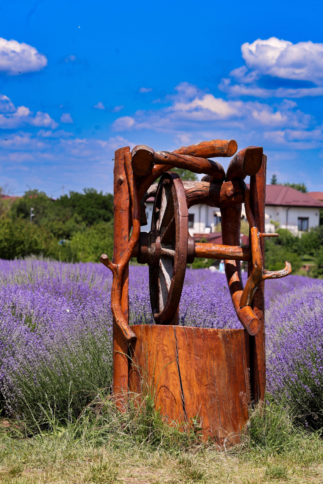 fantana lavanda