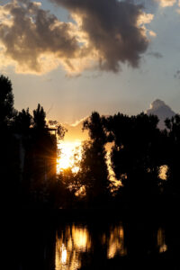 rasarit