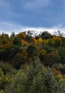 peisaj