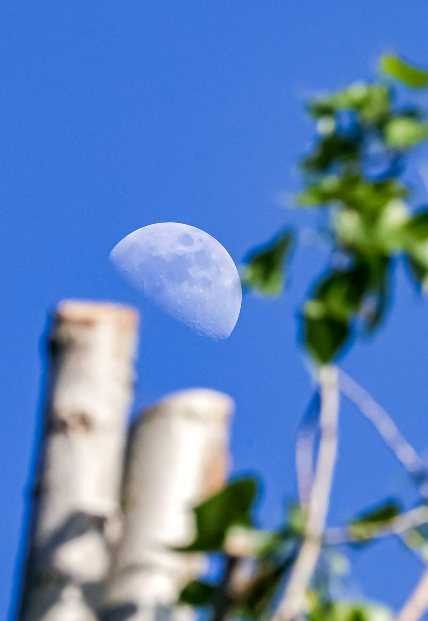 luna